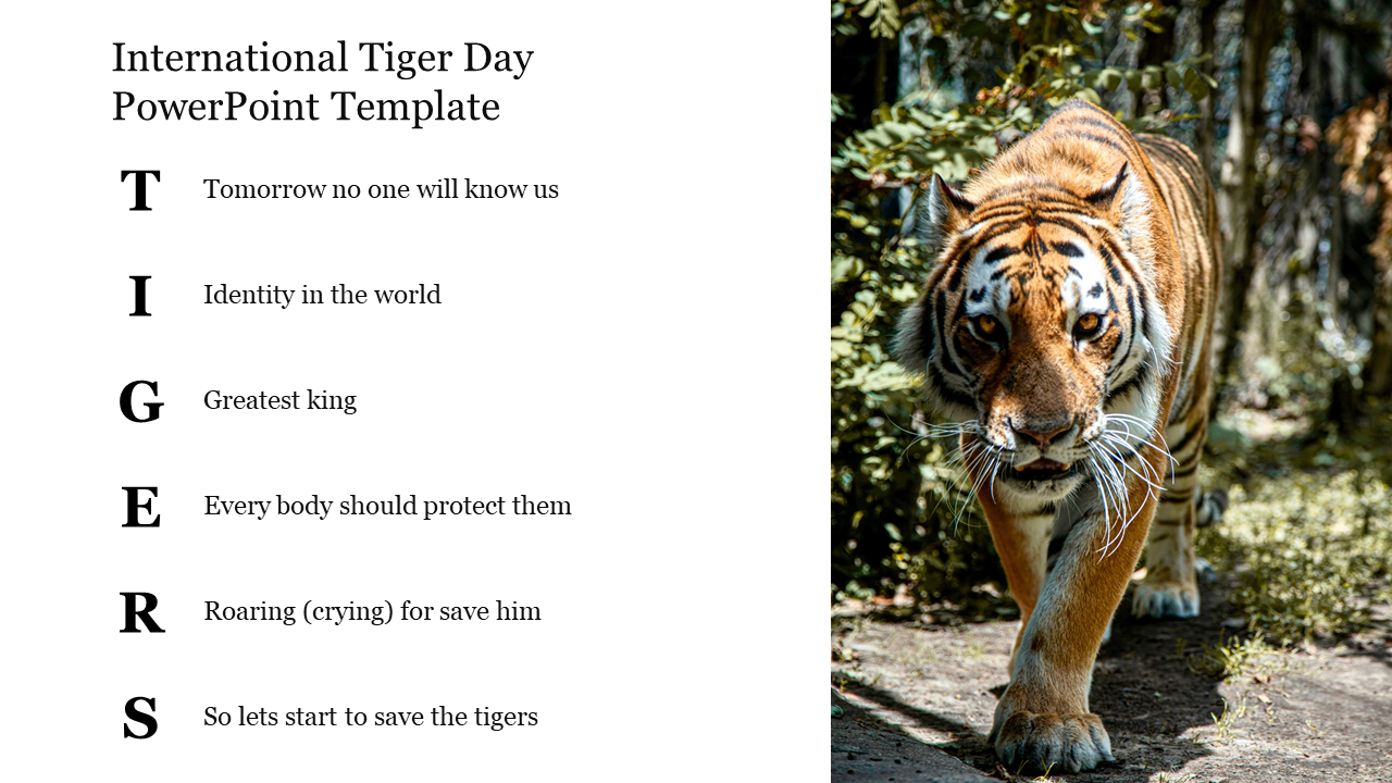 International Tiger Day PowerPoint Template
